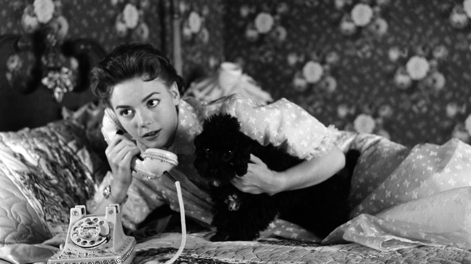 Natalie Wood at Home: The Silver Screen Siren’s Domestic Life in 20 Photos