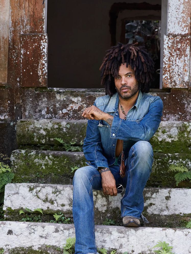 Shop Lenny Kravitz's Brazilian Open Door